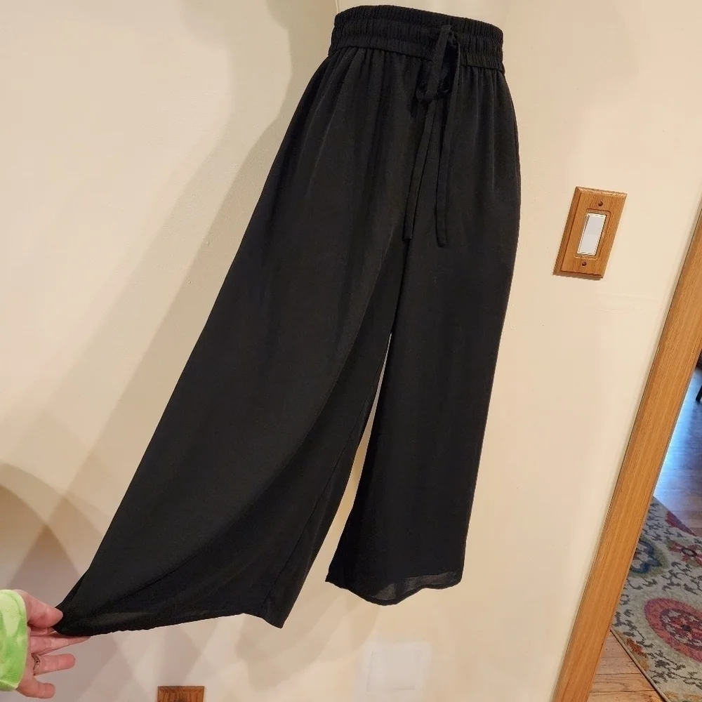 Aritzia Babaton Colutte Pants Wide Leg Cropped Size Med. Black Sheer Lined - Picture 6 of 8